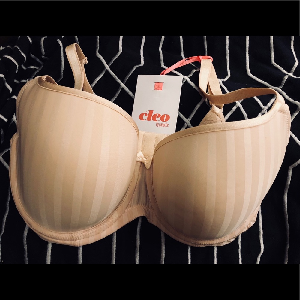 NWT Cleo Panache Lexi Bra, 30G